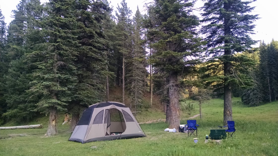This is our setup, we camped along the creek.