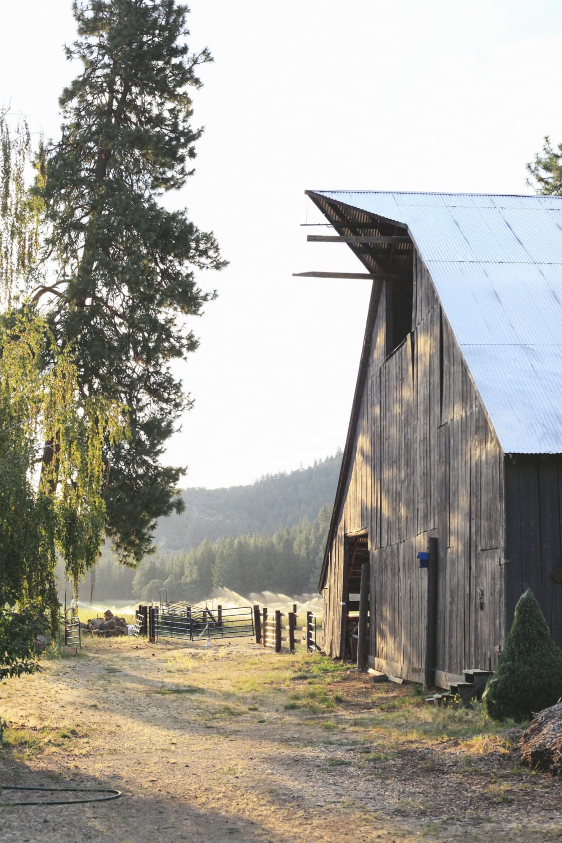 The old Ranch barn in the morning light takes you back in time.