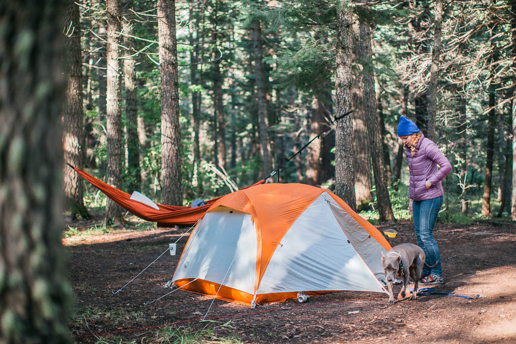 Great soft campsites, with pull-ins, pull-throughs, and tent camping.