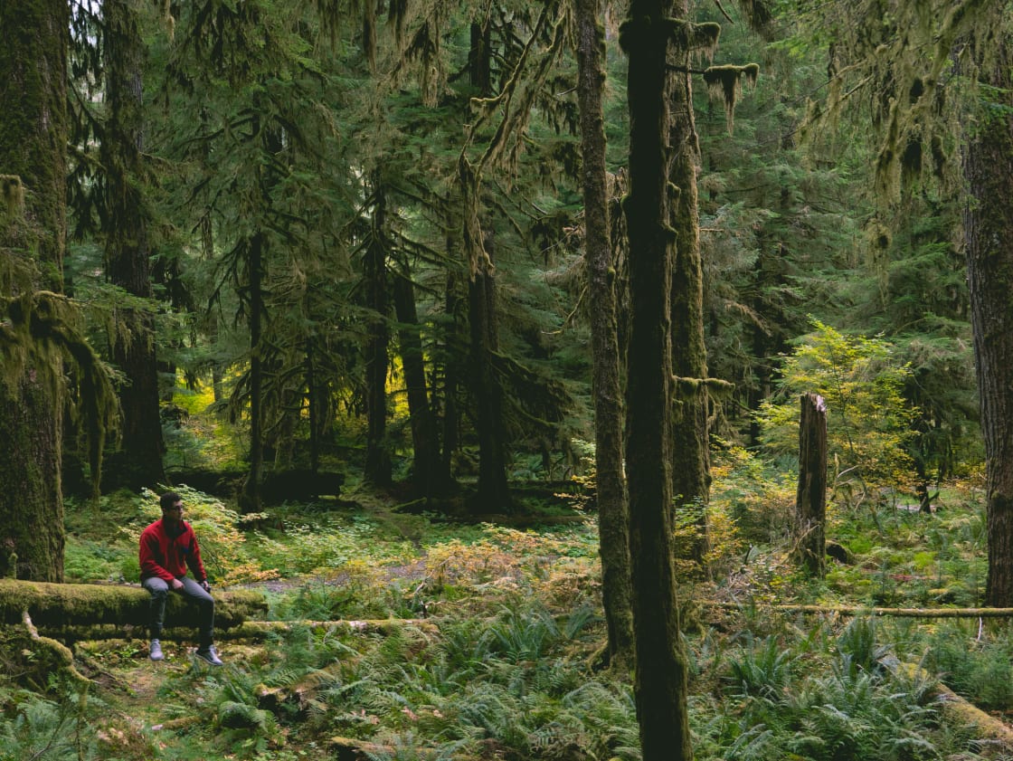 The campgrounds here are surrounded by lush, fairytale-like forests.