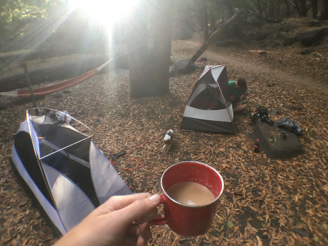 Spruce Grove Trail Camp