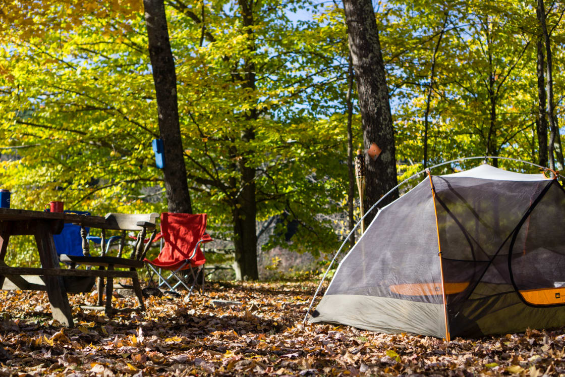 Tents, vans and RVs are all welcome at Onion River Campground.