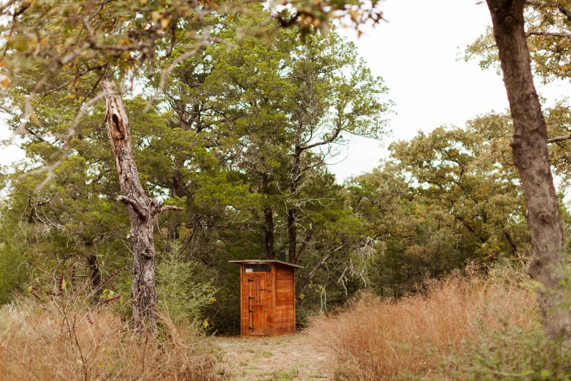 Cute little outhouse surrounded by trees