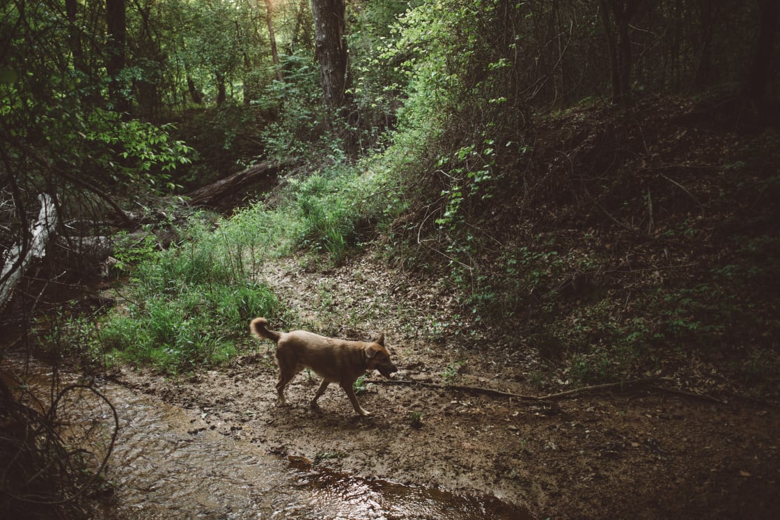 exploring the land