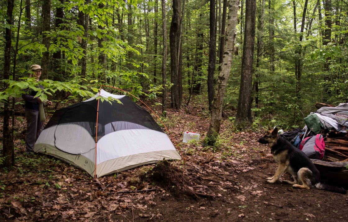 Tent sites are very secluded.