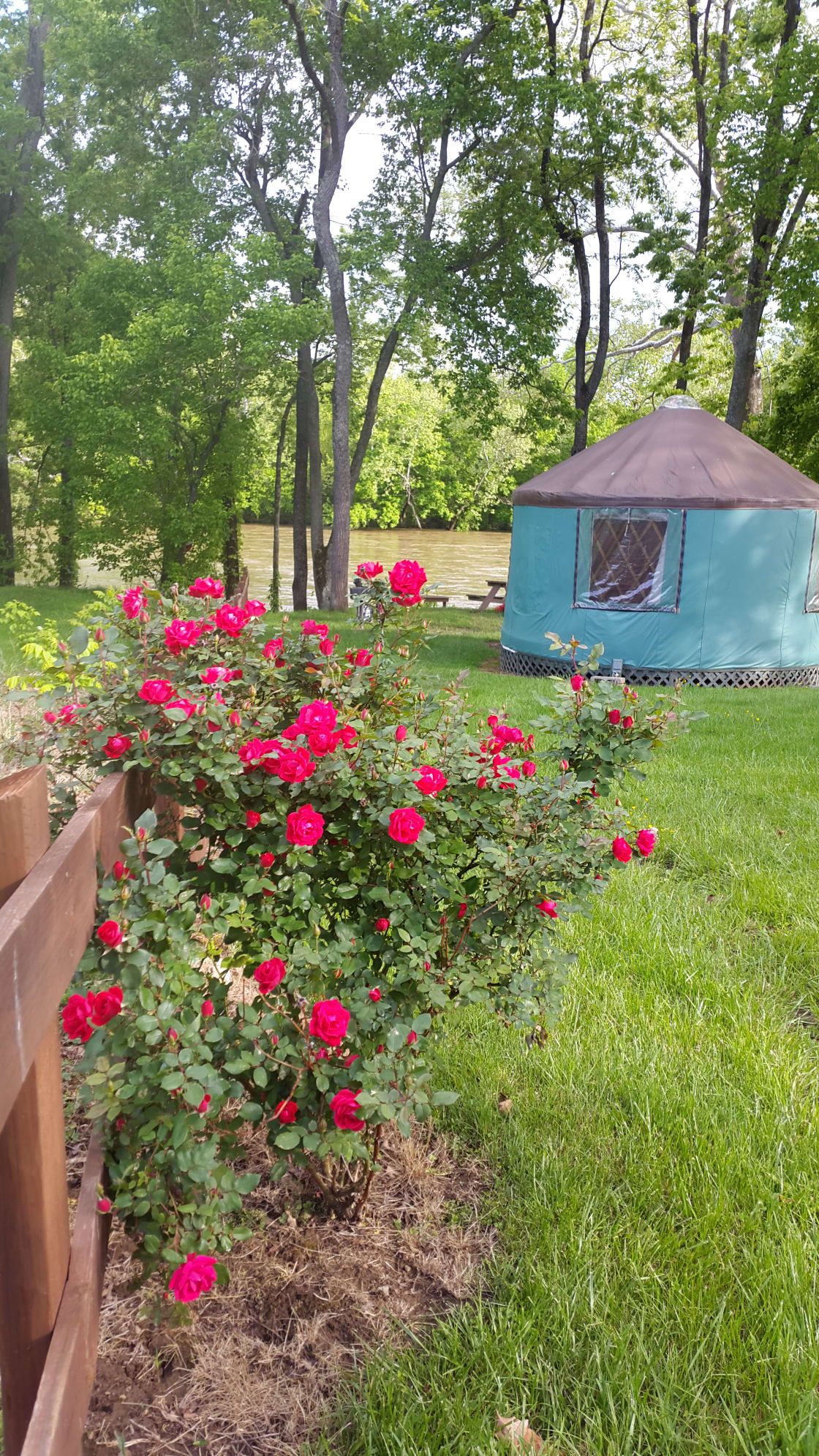 Cherokee Rose Yurt