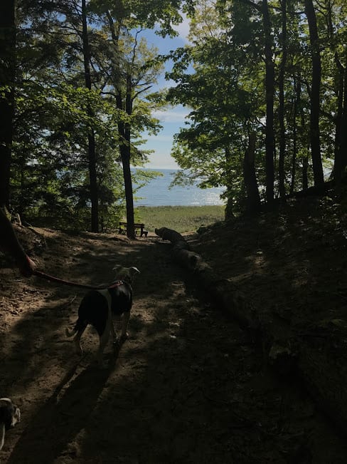 Trails are dog friendly, and lead right to the lake