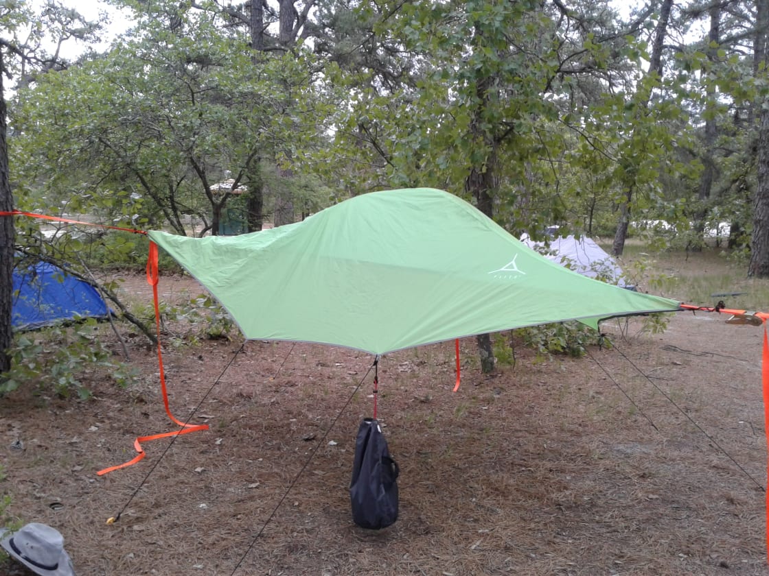 tree tent camping