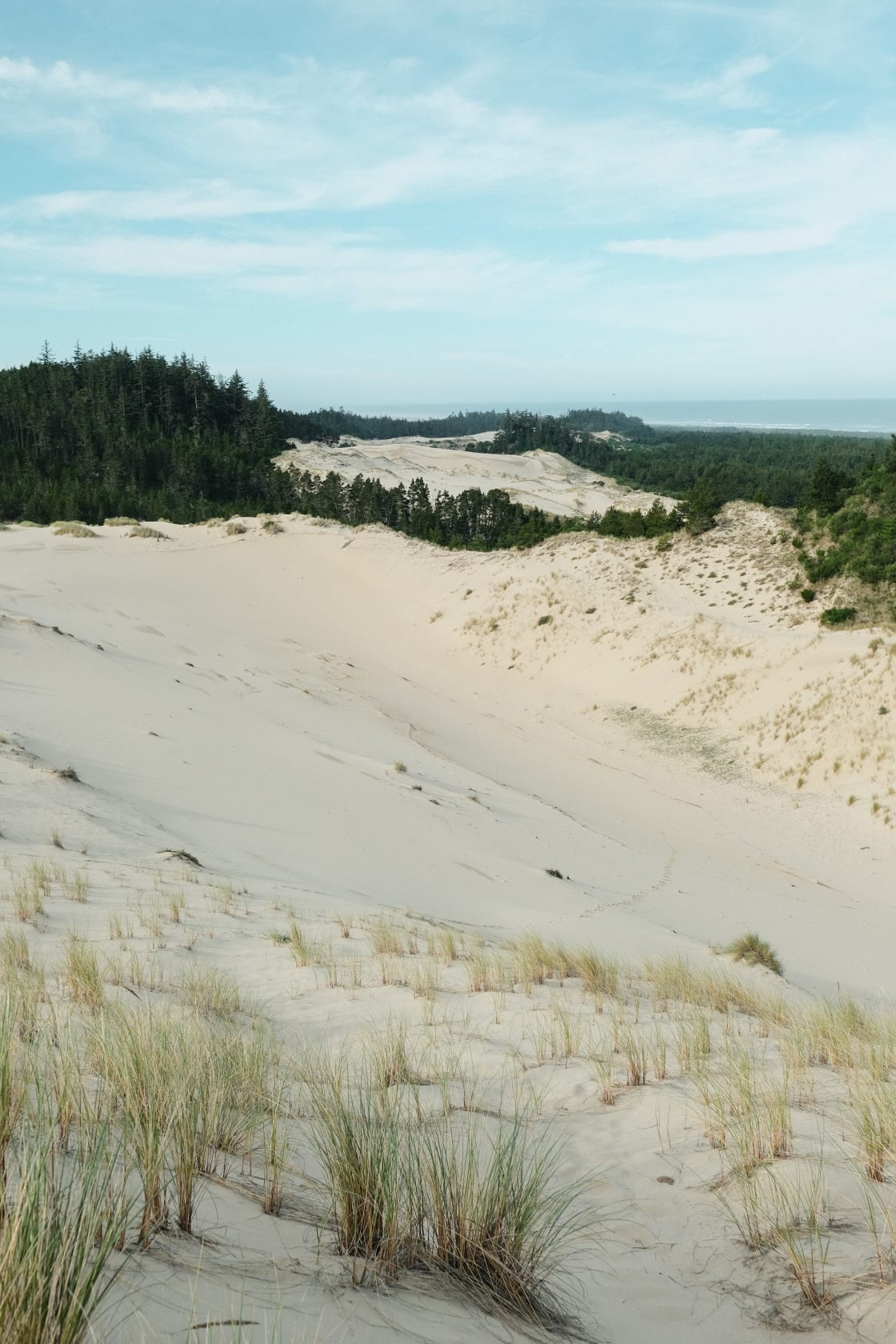 The lodge is only 30 minutes from the Oregon Dunes.