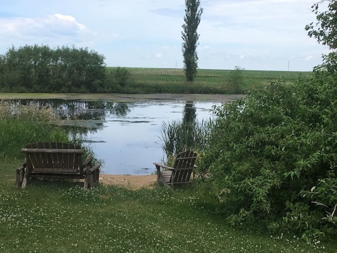 Our pond includes a sandy beach and fishing jetty. Swimming, kayaking, canoeing are all encouraged. We have kayaks, a canoe and rowboat to play with as well as pfd's of various sizes. 