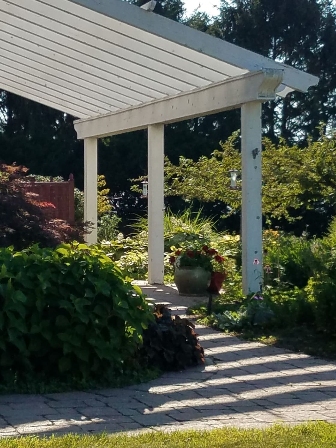 Under the pergola is the perfect place to relax.