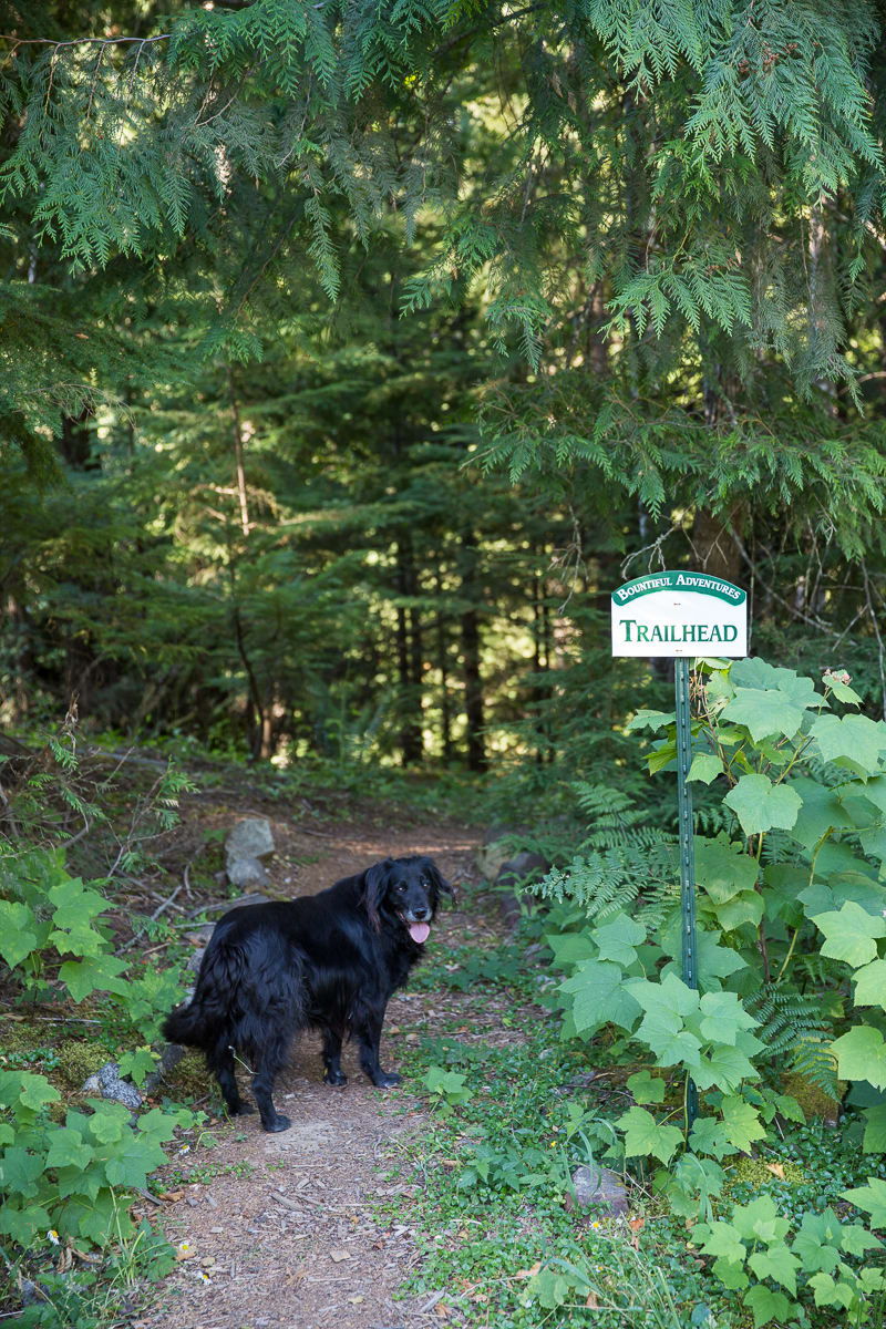 Ken has created trails all over his property for visitors to enjoy the land he's worked hard to preserve and protect.