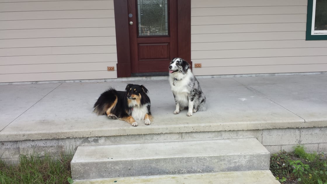 May and Lily are the darlings of the farm and love to have visitors, especially furry four legged ones.