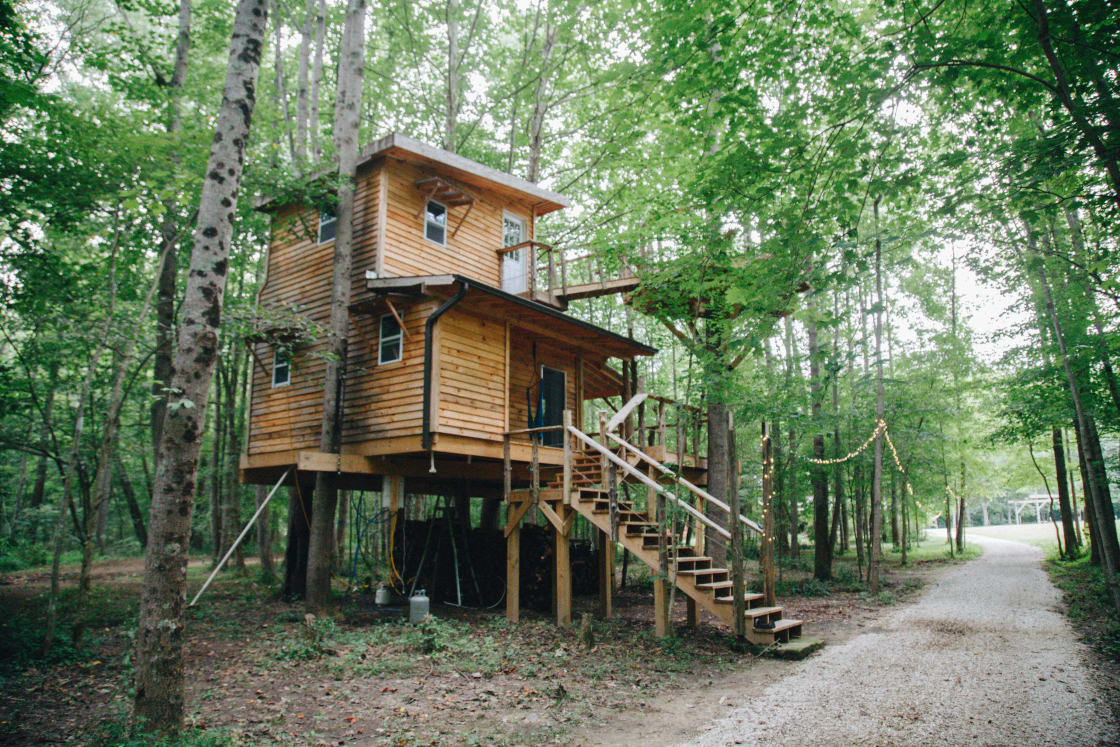 Kerry's treehouse