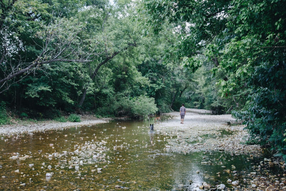 walk along the crystal clear creek to get to the swimming hole