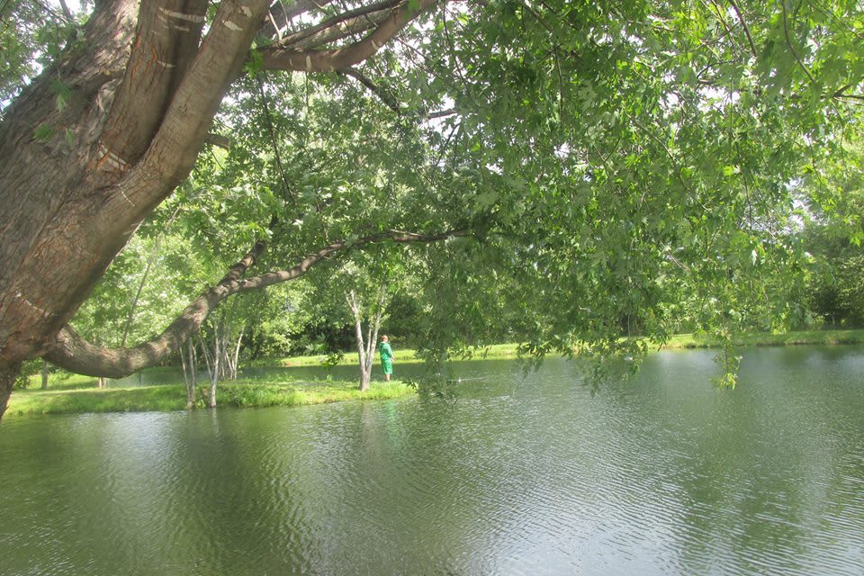 Please come and enjoy primitive camping at its best at Gathering Gardens 