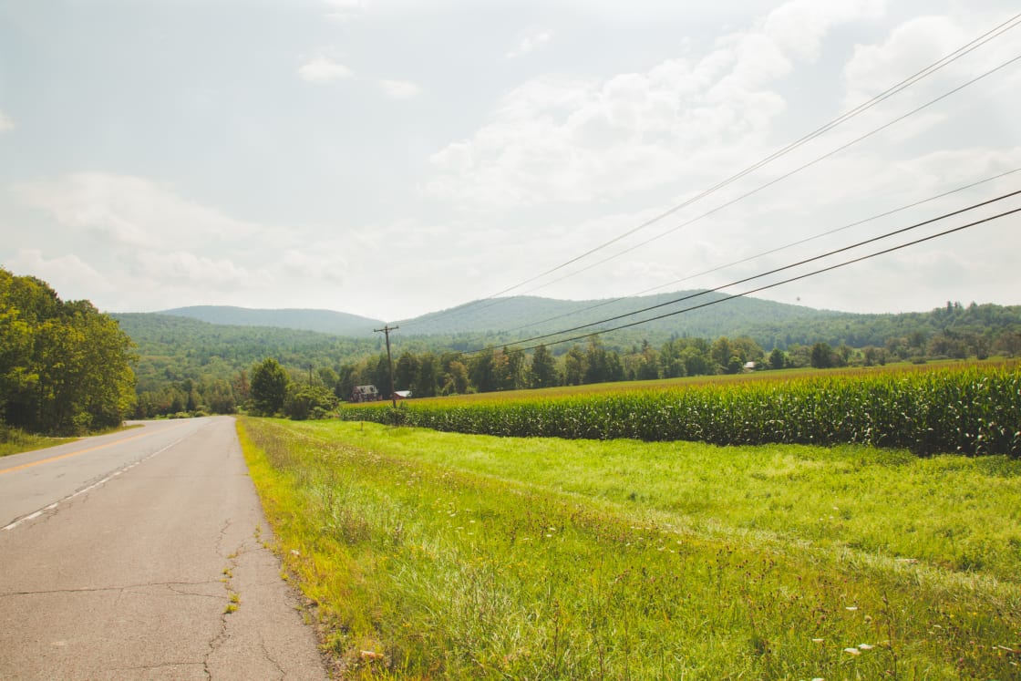 The drive through the Berkshires on the way here was absolutely stunning!