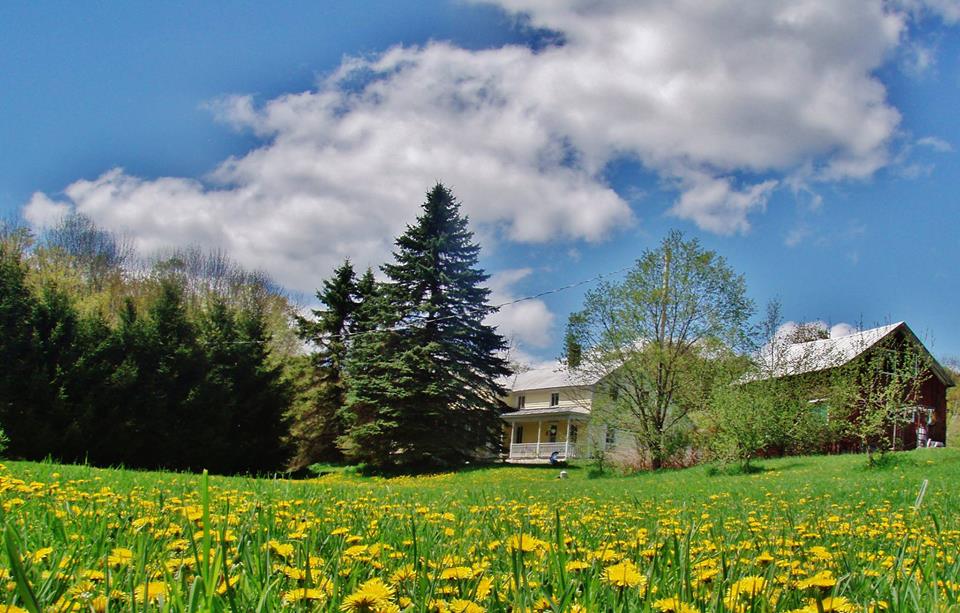 Perfect Valley Farm