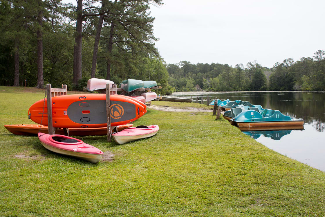 All sorts of canoes, kayaks, stand up paddle boards, pedal boats