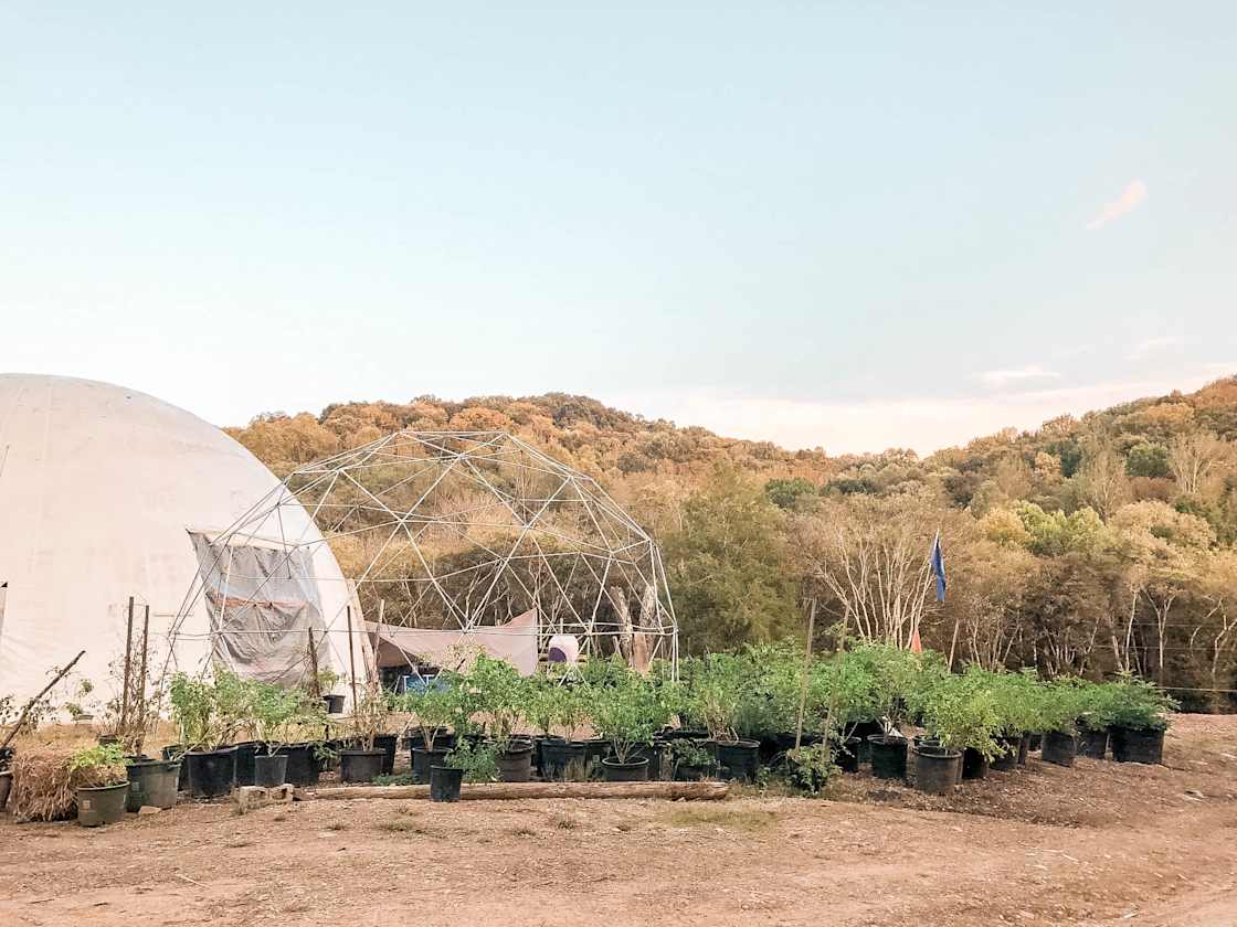 The dome/farm area.