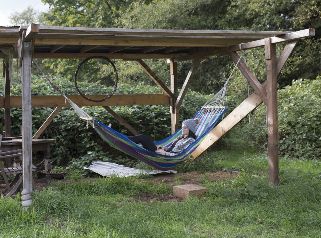 One of two hammocks on the property.