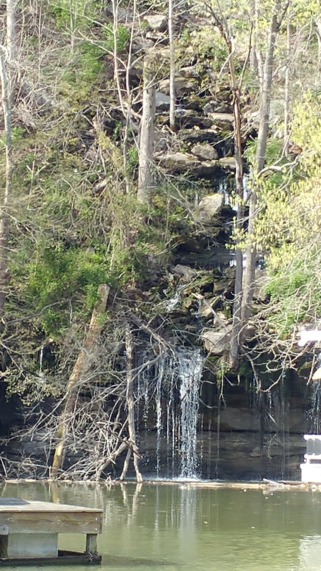 Waterfalls in the area. If you take one of the boats out you will see several waterfalls along the creek.