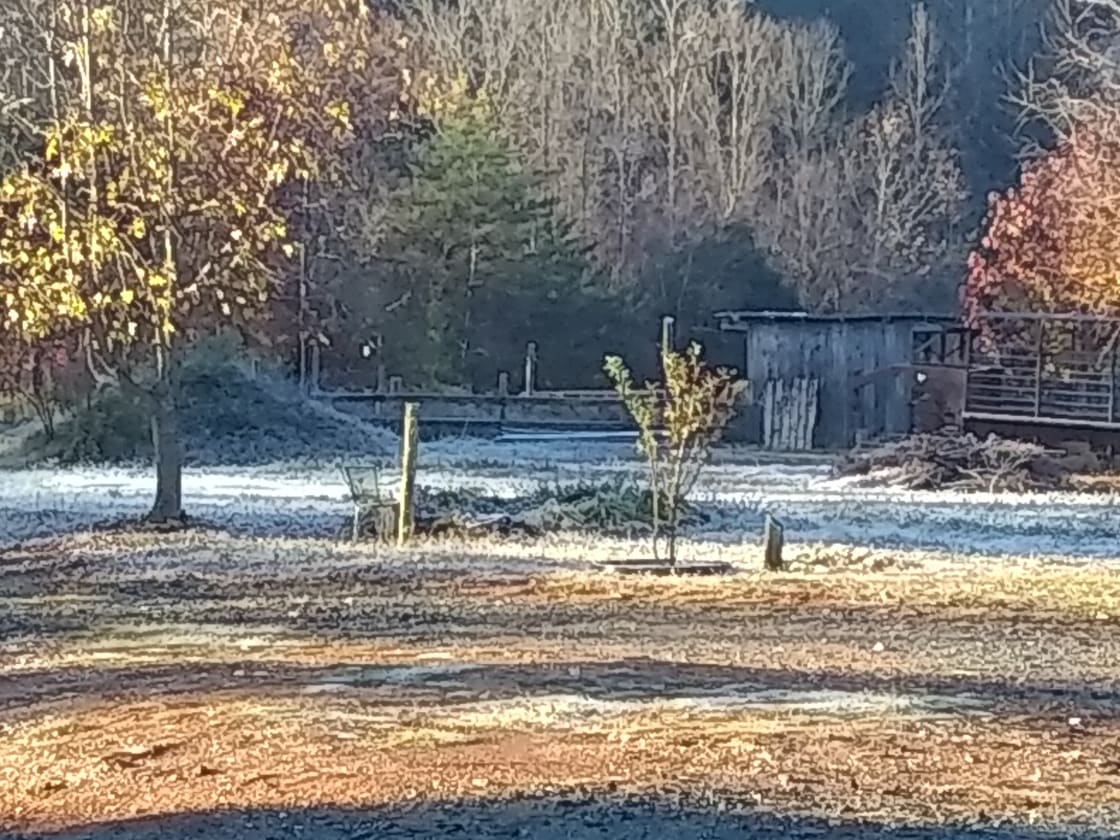 First Frost 11-17-17