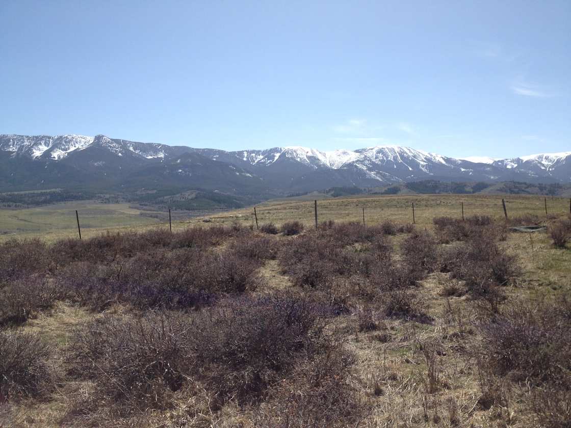 Beartooth Mountain Paradise