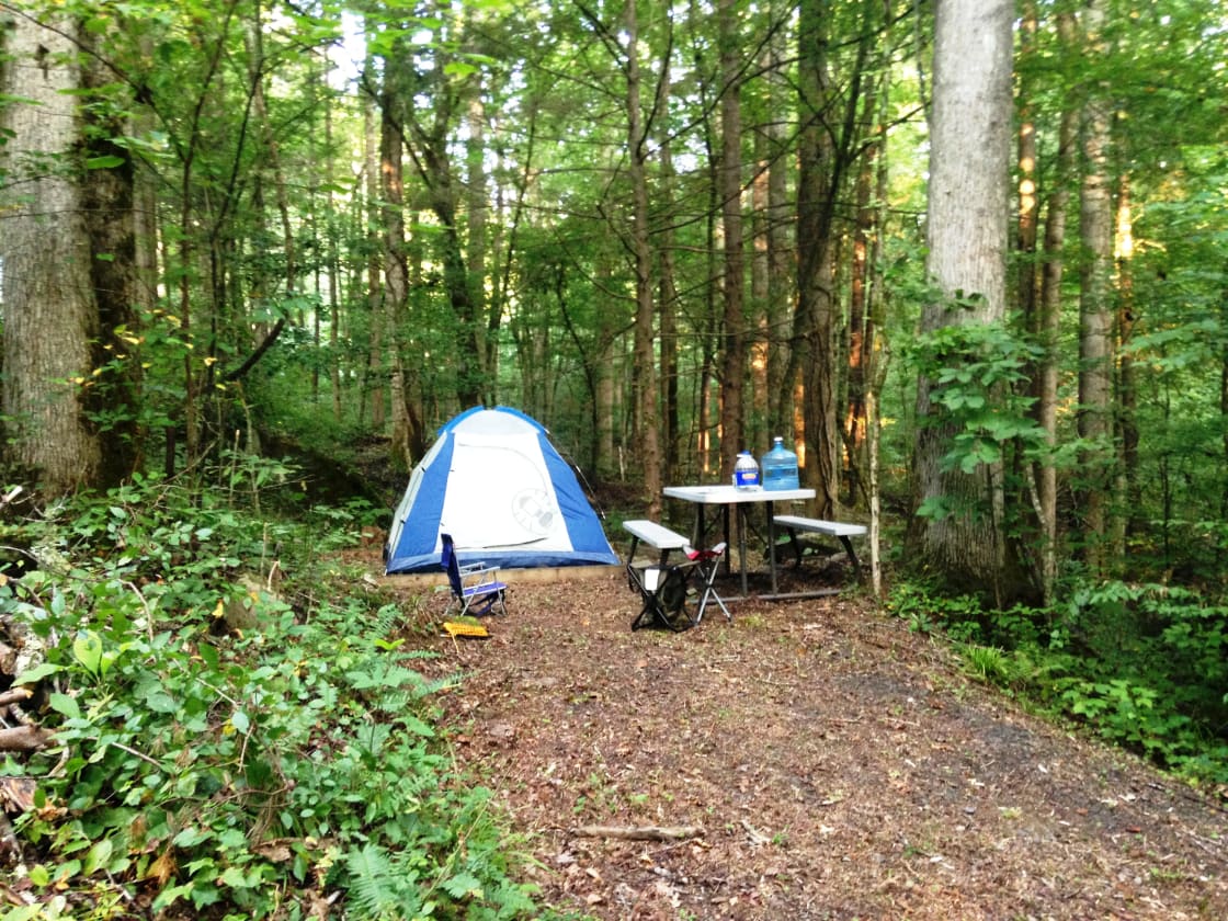 Campsites are nestled in the woods and have tent pads, tables and fire pits with grill.