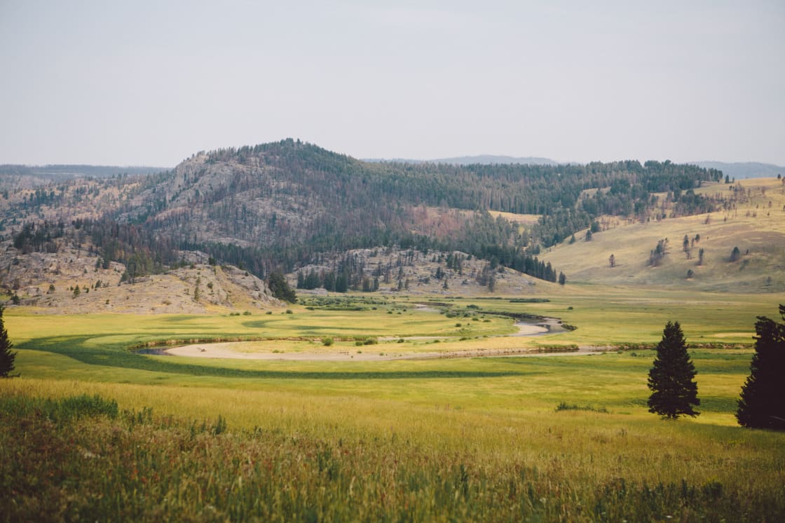 Slough Creek, First Meadow. 