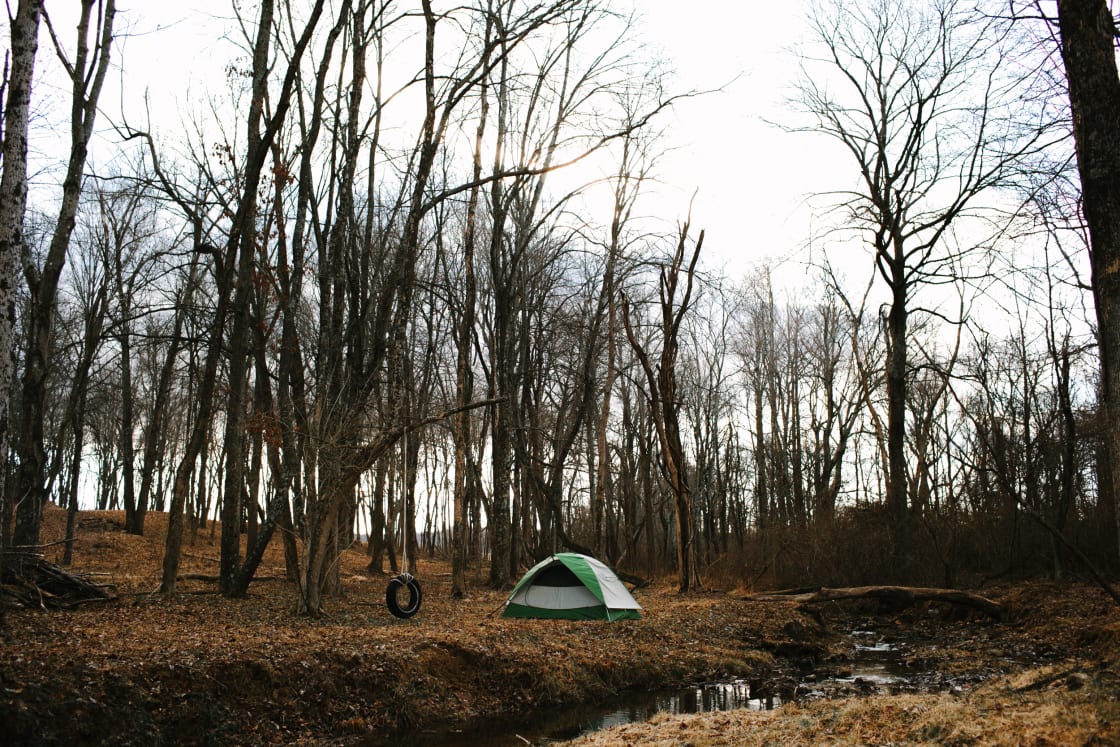 Campsite by the Creek