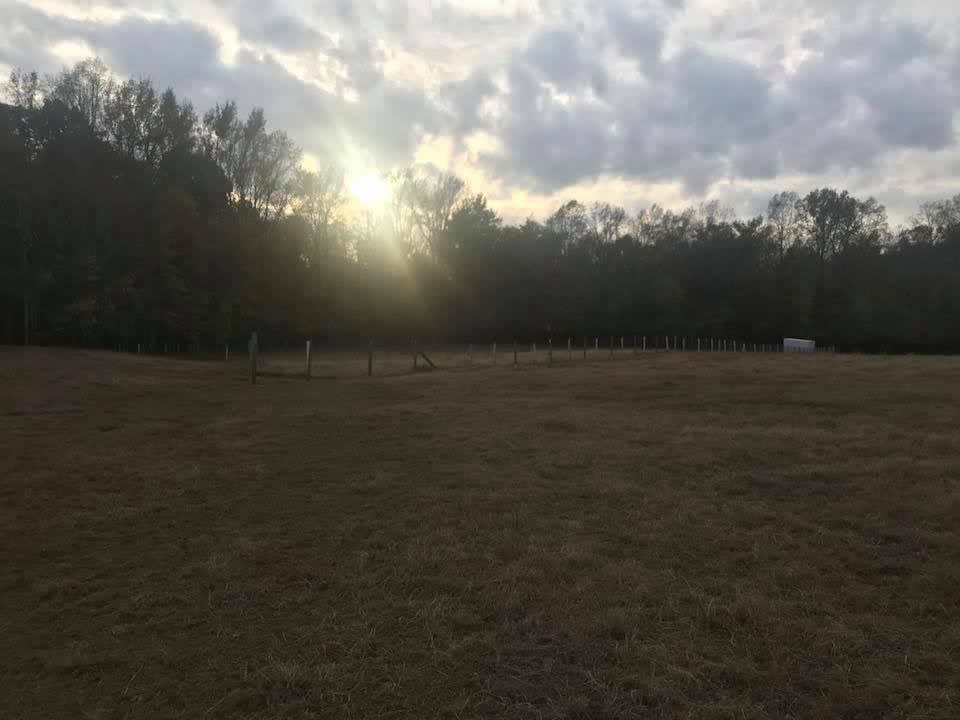 Horse Ranch-a short drive from 95