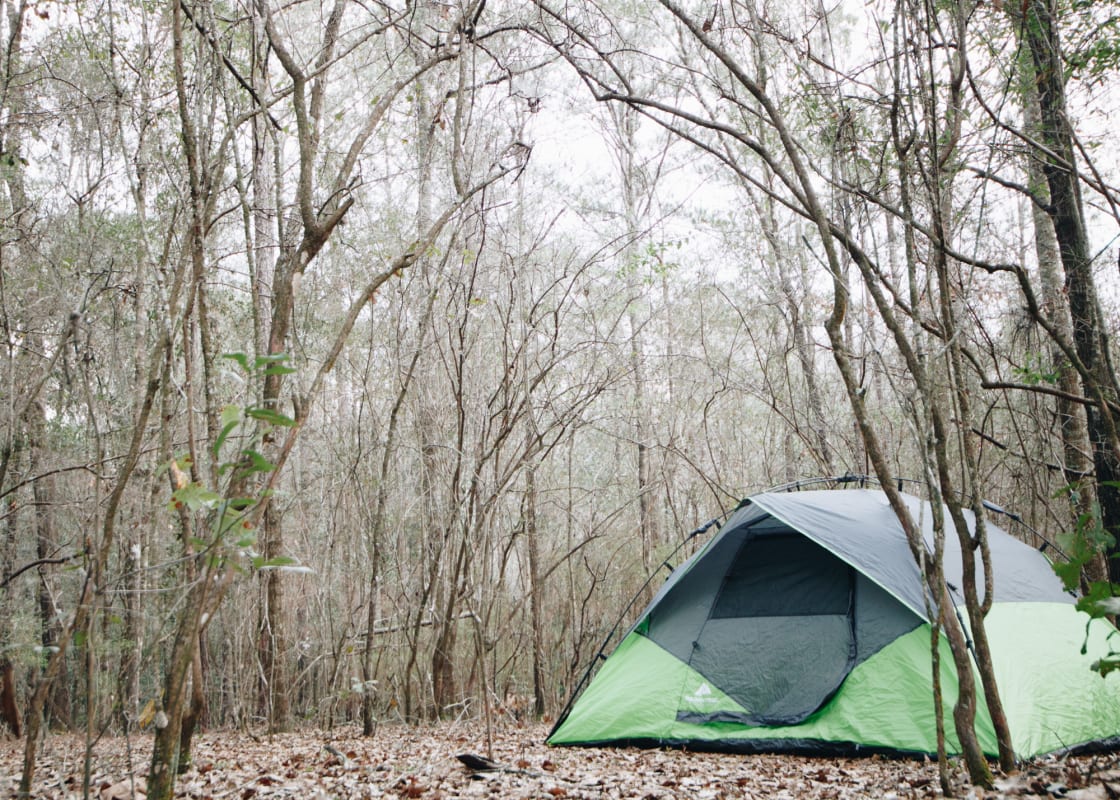 A perfect spot to pitch your tent under the stars (close to the creek).
