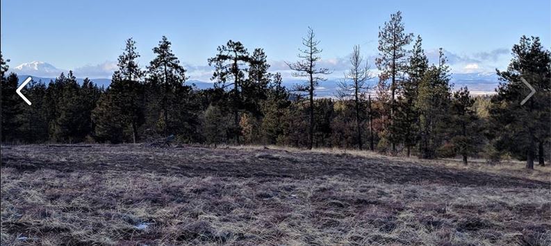 The view from "Big Baldy" the top of the property.  Amazing view of  Mt. Adams and Mt. Rainier in the distance.  

https://www.facebook.com/pg/CMSRanch/photos/?tab=album&album_id=873372442776924 (For More Pics)