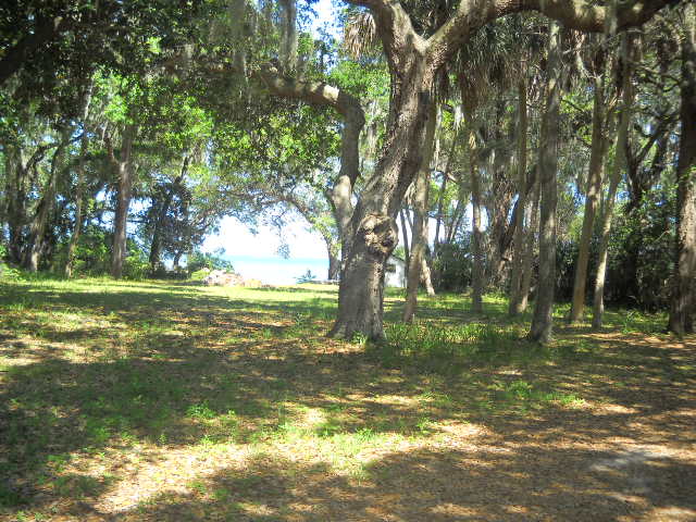 Large shade trees keep campsites cool