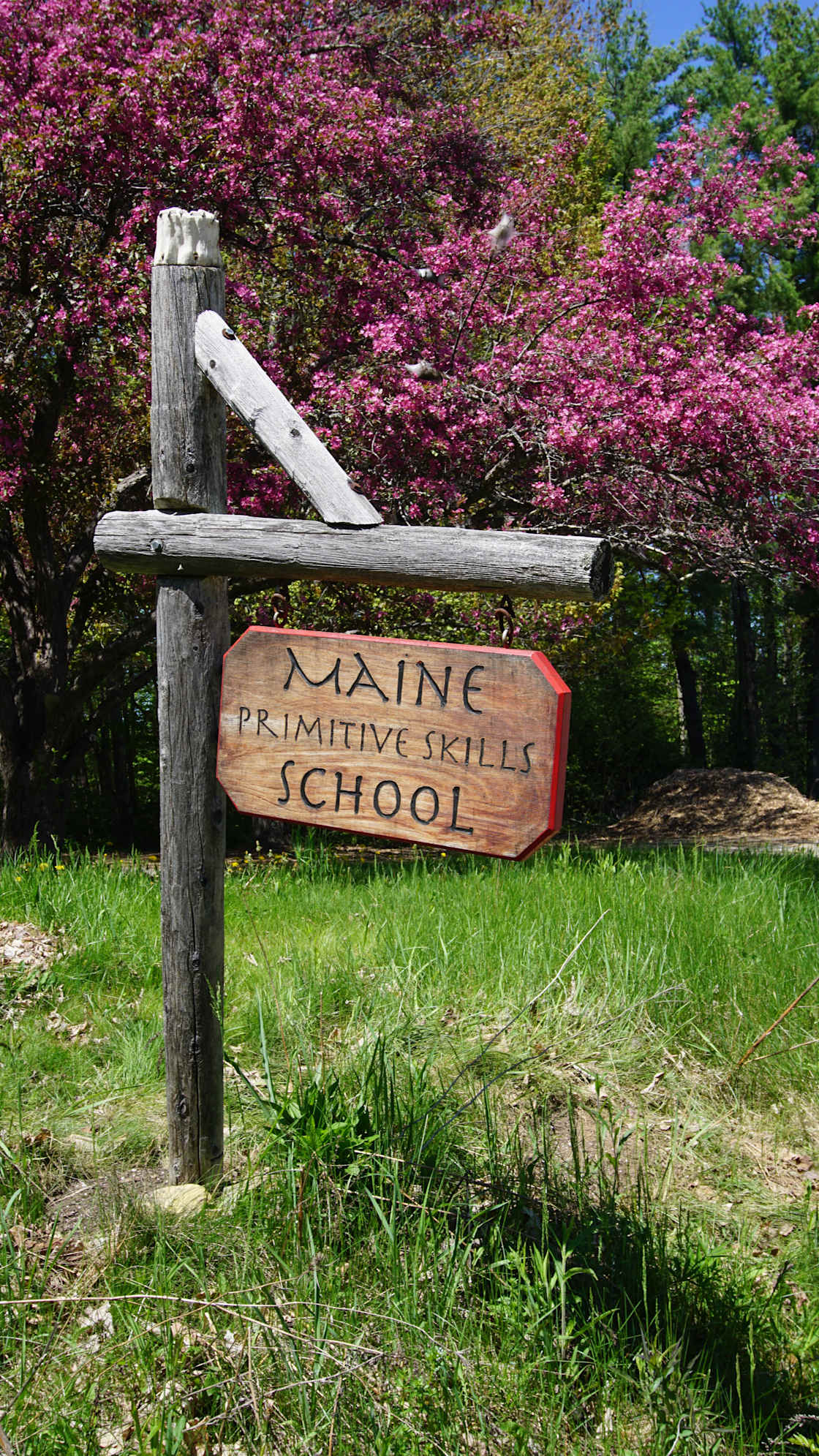 Maine Primitive Skills School