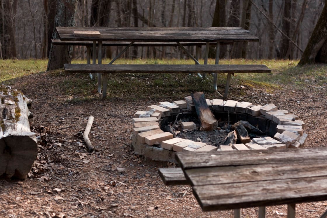 Fire pit with picnic tables and logs for stories and s'mores