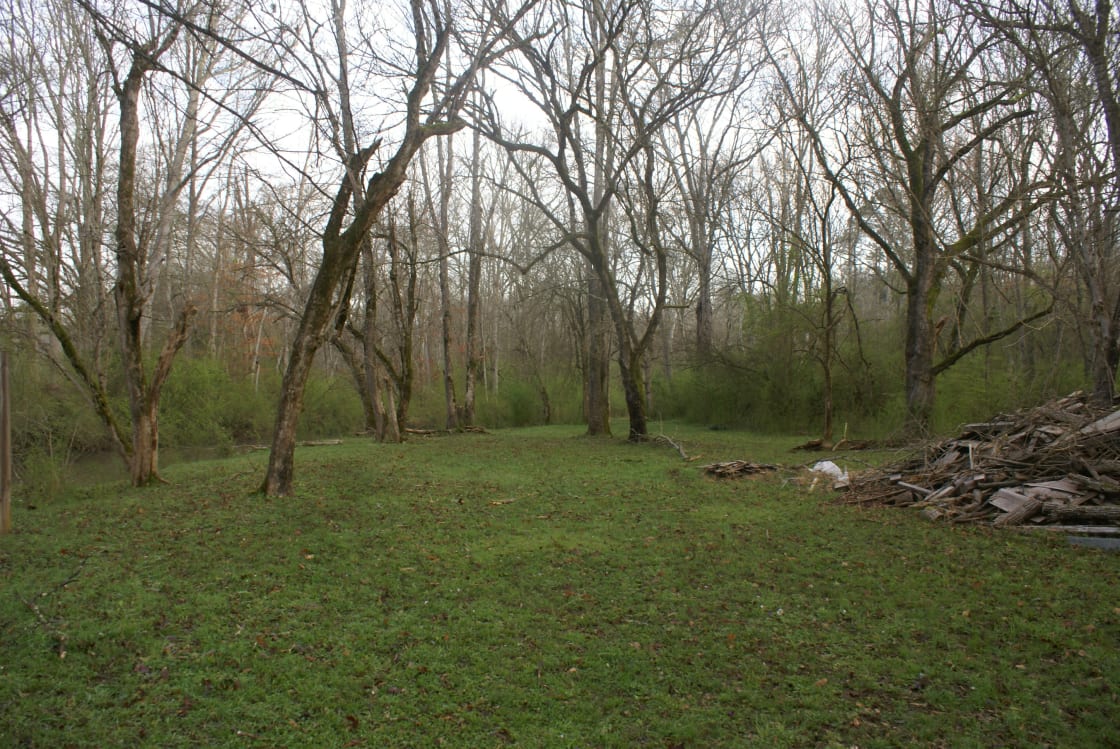 Large area for putting tents and hammocks next to creek.