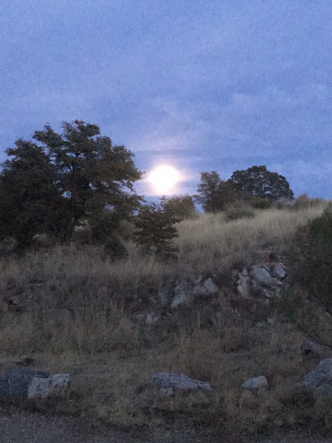 Horrible photo, but I forgot to take more. This was the supermoon rising over the campground. The sunrises were just ad stunning. 