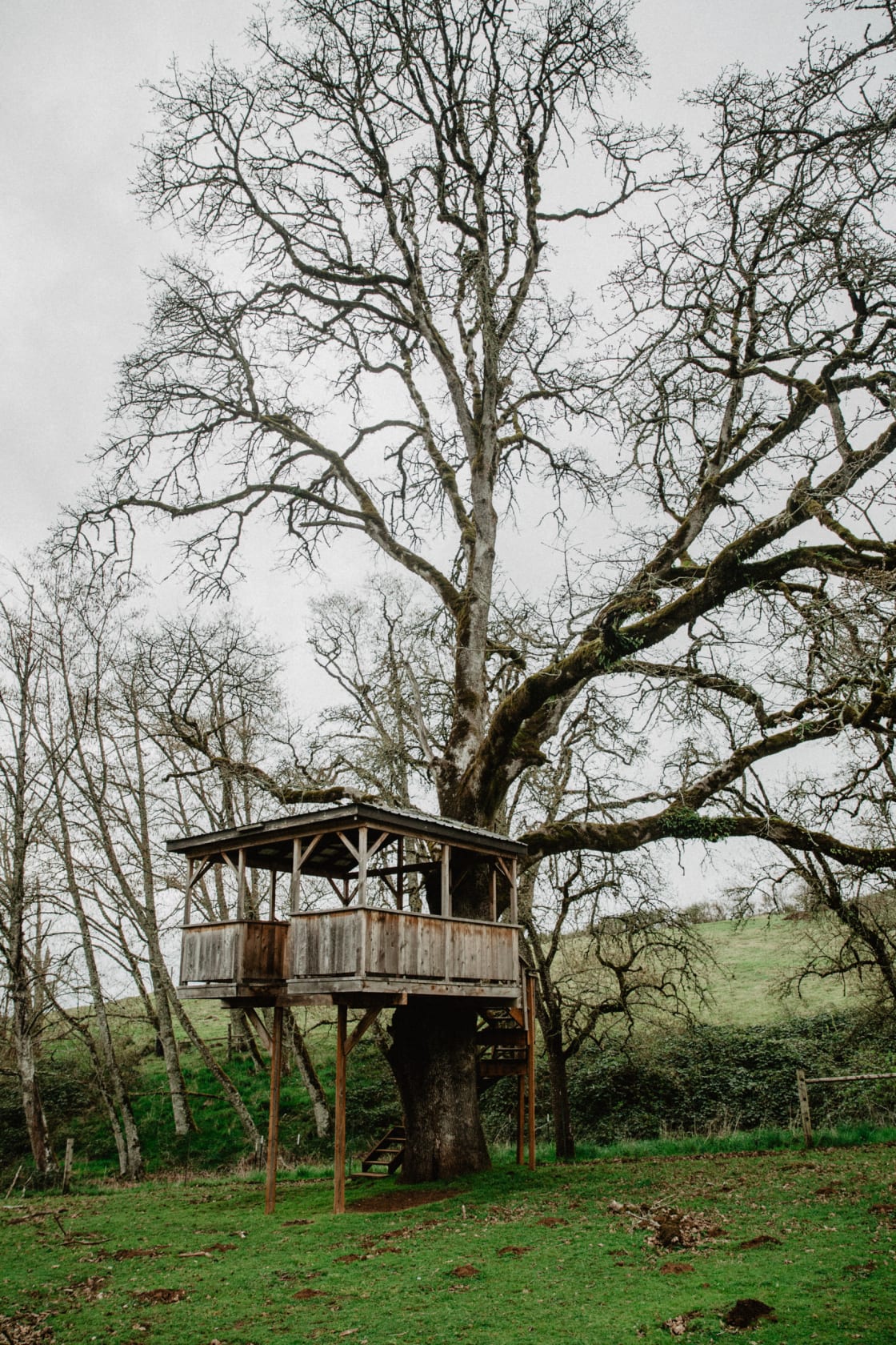 This treehouse is so cool