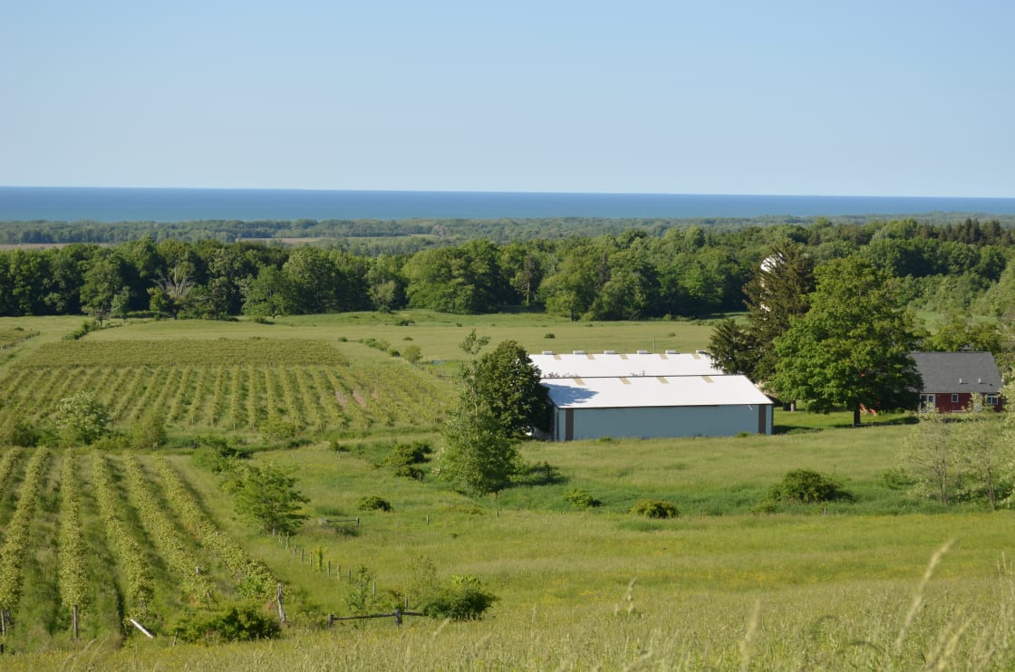 a view of Lake Erie from Toboggan Hill Farm