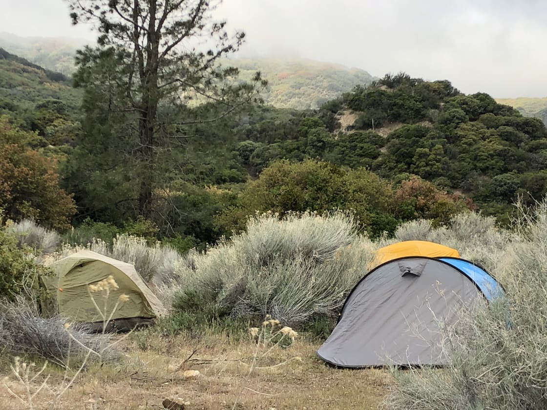 Campers still asleep during early morning hours in camp WILD