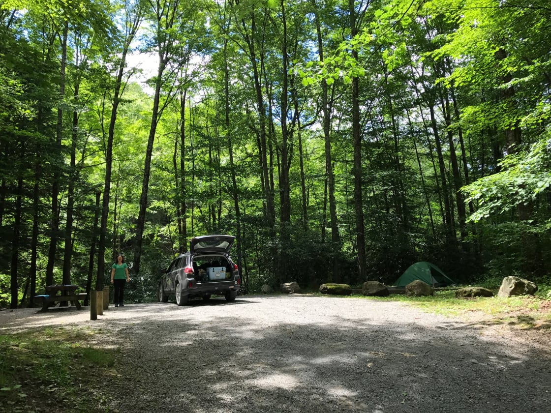 Site 23. One of the best sites at the campground. Wooded, secluded. Located on the creek. The site is set back off of the road.