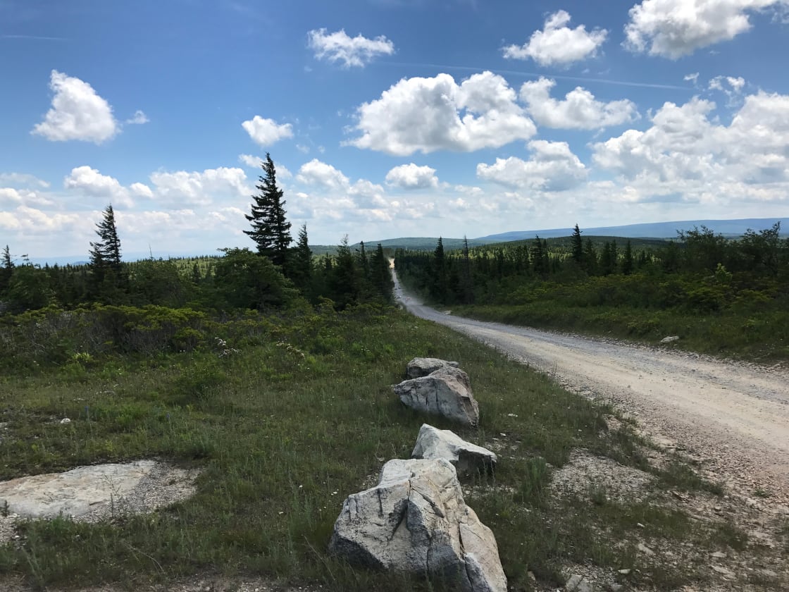 The long, gravel road into Dolly Sods.  The views & subalpine experience are worth the drive.