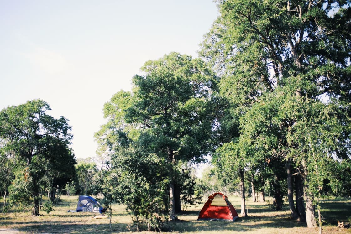 You can camp anywhere you want out on the property away from RVs and Cabins for lots of privacy. 
