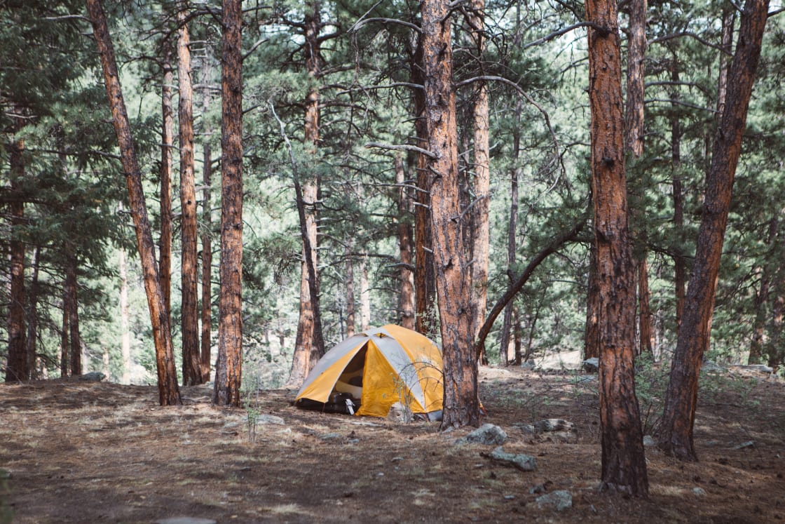 Another tent site, located in the forest.