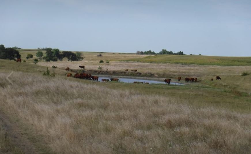 West pasture and fields