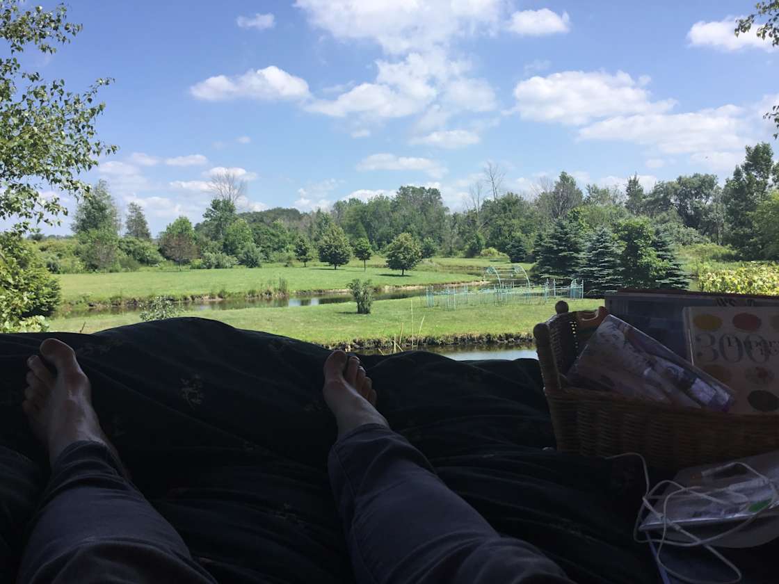 Summer Scene