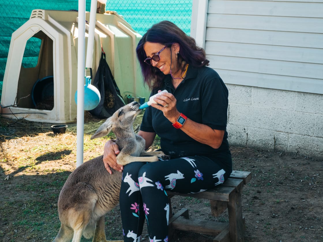 Laura feeding the kangaroo