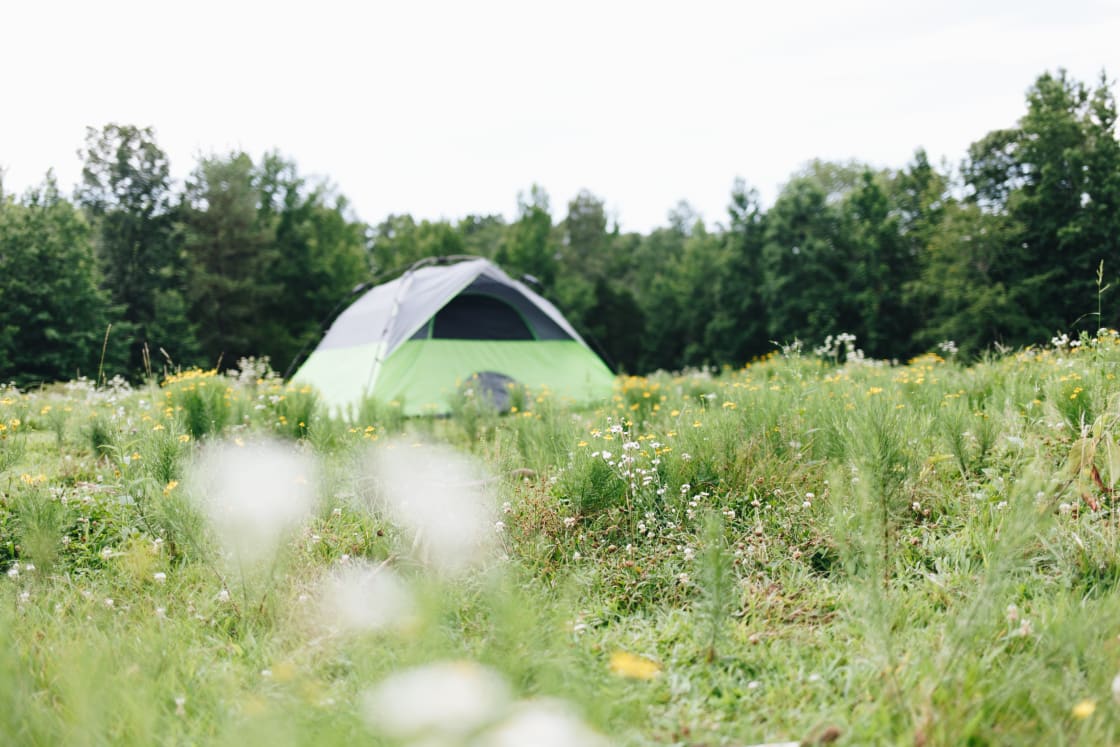 Camping Off The Grid -Barbour Farms